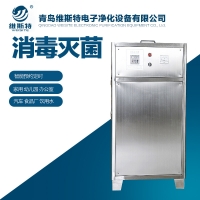 食品車間臭氧發生器 空間消毒臭氧殺菌機