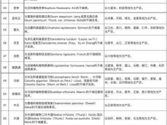 貴州正式發布第一批道地藥材目錄 天麻白及等95種中藥材納入其中 ()