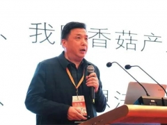 邊銀丙：香菇產業“三駕馬車”失去動力 如何化險為夷？ ()