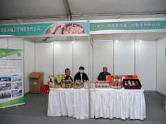 展區圖：丹鳳縣永福工貿有限責任公司 (1)