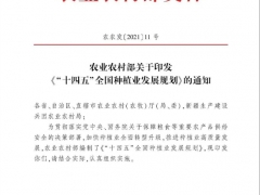 農業部發布《“十四五”全國種植業發展規劃》 2025年力爭食用菌總產量4000萬噸 ()