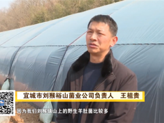 喜訊！湖北裕山菌業首批羊肚菌順利出菇 ()