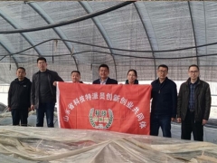 山東省科技特派員泰安市食用菌產業服務團走進新泰 專家“地頭論菌” 科技助農致富 ()