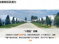 新國發2號文件|項目推介——玉屏縣食用菌休閑食品加工項目 ()