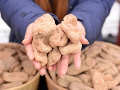 靈芝、天麻陸續解鎖“藥食同源” 對未來影響幾何？ ()