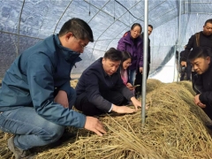 華中農業大學邊銀丙教授赴仙桃、宜昌等地開展“鄉村振興荊楚行”工作 ()