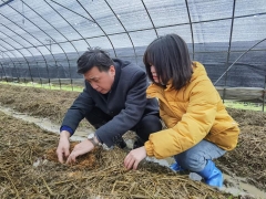 大球蓋菇（紅松茸）產業分會會長、華中農業大學邊銀丙教授前往武漢蔡甸大球蓋菇基地考察 (3)