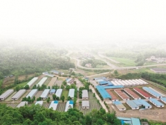 重慶黔江：桑枝育出生態菌 撐開增收致富傘 ()