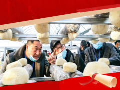 祝賀！“隨縣香菇種植工”上榜湖北省十大勞務品牌 ()
