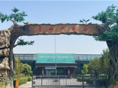 山東菌勝生物獲數百萬天使輪融資 欲解決“卡脖子”問題 打造中國食用菌商業化育種平臺 ()