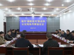 古田：加快新品種產業化開發 滿足銀耳市場生產需求 ()