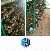 外行如何判斷食用菌網格架質量，三點建議拿走不謝