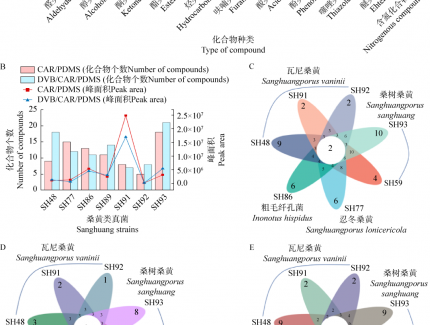 【學術論文】 四種桑黃類真菌揮發性風味成分分析 ()