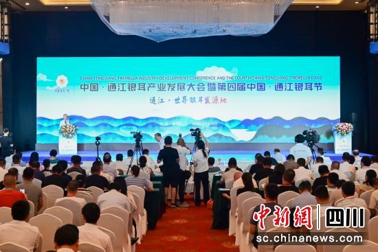 圖為大會開幕式現場。李小龍 攝