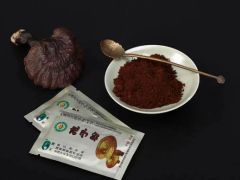 巧用靈芝，科學防癌丨靈芝化學成分及防治腫瘤的研究進展 ()