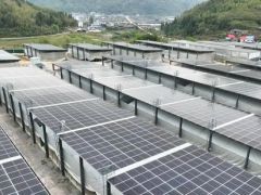 科技賦能 光伏菇棚香菇定向出菇技術喜獲成功 ()