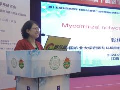 張俊伶：菌根共生體共生共棲，天作之合