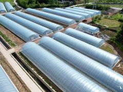種植食用菌無大棚？這里有2.2萬平米現代化塑料大棚出租 ()