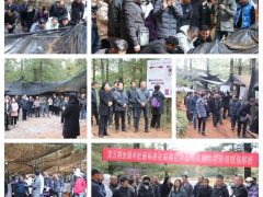 行業反響熱烈！第五期全國羊肚菌標準化規?；N植及風險防控培訓班在云南玉溪舉行