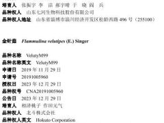 2023年第四批授予植物新品種權公告，含香菇、金針菇、平菇的6個品種 ()