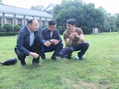 中國菌物學會理事長郭良棟一行深入井岡山農業科技園調研 (4)