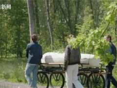 實現生命循環！全球首款“蘑菇做的棺材”在英使用