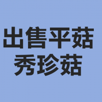 平菇、秀珍菇出售?。?！